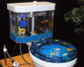 15-strange-and-unique-custom-toilets-from-around-the-world